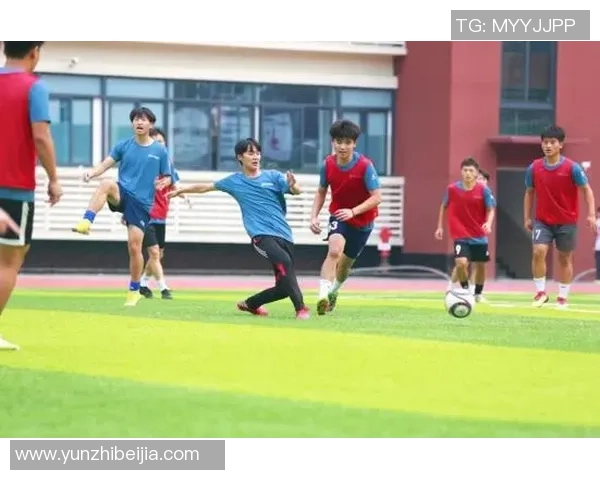 许钟豪的奋斗故事：从普通少年到行业领军人物的成长之路